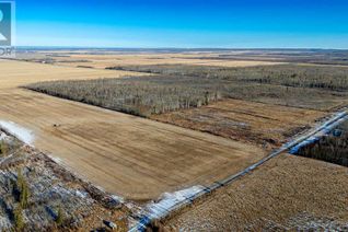 Land for Sale, Ne-13-80-12-W6 121 Range, Rural Saddle Hills County, AB
