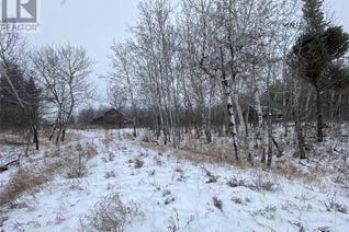 Land for Sale, Blk C Buckland Lot, Buckland Rm No. 491, SK