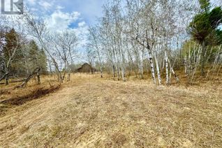 Property for Sale, Blk C Buckland Lot, Buckland Rm No. 491, SK