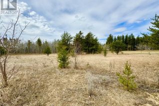 Commercial Land for Sale, Blk E Buckland Lot, Buckland Rm No. 491, SK