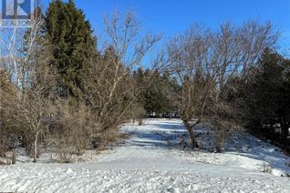 Land for Sale, 29 George Street, Chatsworth, ON