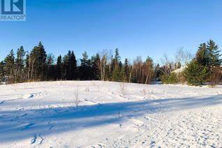 Commercial Land for Sale, 16 South Brook Drive, Pasadena, NL