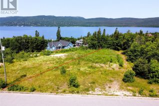 Commercial Land for Sale, 16 South Brook Drive, Pasadena, NL