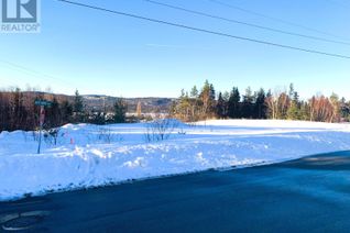 Commercial Land for Sale, 18 South Brook Drive, Pasadena, NL