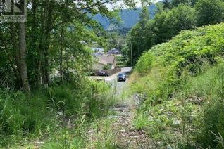 Vacant Residential Land for Sale, 167 River Rd, Lake Cowichan, BC