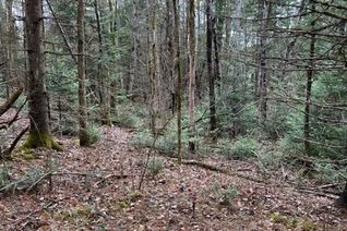 Property for Sale, 3051 Hwy 534, Nipissing, ON