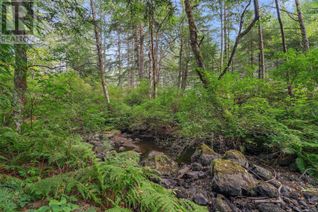Vacant Residential Land for Sale, 4915 Sooke Rd, Metchosin, BC