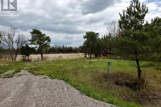 Land for Sale, 200 St. David Street S, Noelville, ON