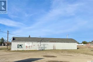 Business for Sale, 11 Christopher Street, Theodore, SK
