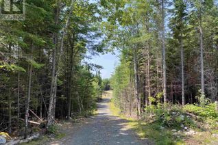 Commercial Land for Sale, 139 Wake Up Hill Road, Marriott's Cove, NS