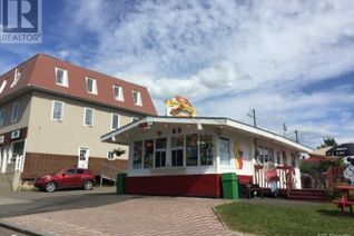 Non-Franchise Business for Sale, 355 Broadway Boulevard, Grand Falls, NB