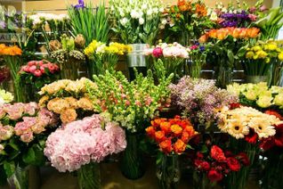 Florist/Gifts Non-Franchise Business for Sale, 000 Confidential Street, Vancouver, BC