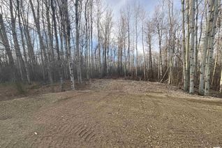 Land for Sale, Rge 273 Twp 481, Rural Leduc County, AB