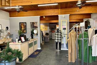 Recreational Non-Franchise Business for Sale, 5012 50 Street, Sylvan Lake, AB