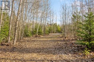Land for Sale, 2745 Shaver Rd, Coombs, BC