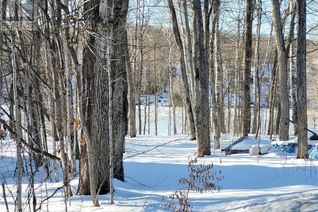 Land for Sale, 20 Squirrel Avenue, McDougall, ON