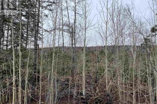 Land for Sale, Leitches Creek Road, North Sydney, NS