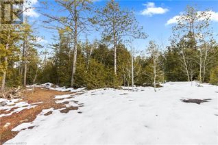 Commercial Land for Sale, Lot 41 & 42 4 Concession, Northern Bruce Peninsula, ON