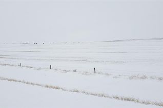 Commercial Farm for Sale, Meyronne South Land 1, Pinto Creek Rm No. 75, SK