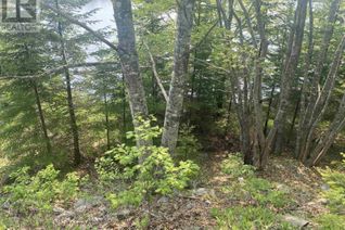 Commercial Land for Sale, Lot Mke-3 235 Croft Road, Chester Basin, NS