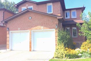 Detached House for Rent, 42 Lamar St #Bsmt, Vaughan, ON