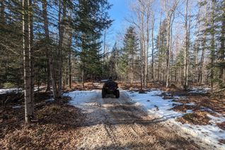 Vacant Residential Land for Sale, 11146 On-118 Highway, Algonquin Highlands, ON
