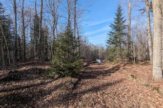 Vacant Residential Land for Sale, 11146 On-118 Highway, Algonquin Highlands, ON
