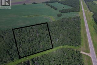 Commercial Land for Sale, 4 Poplar Place, Paddockwood Rm No. 520, SK