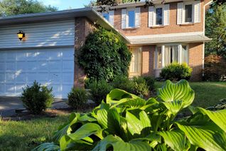 House for Rent, 217 Orchard Heights Blvd, Aurora, ON