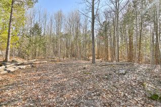 Vacant Residential Land for Sale, 0 Quin-Mo-Lac Rd, Centre Hastings, ON