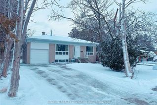 Bungalow for Rent, 31 Maralim Rd #Basemt, Richmond Hill, ON