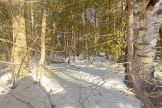 Vacant Residential Land for Sale, 117 Baxter Rd E, Trent Hills, ON