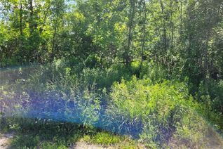 Vacant Residential Land for Sale, 11325 26 Highway, Collingwood, ON