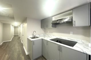 Bachelor/Studio Apartment for Rent, 112 Golden Springs Dr #Basemen, Brampton, ON
