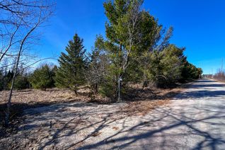 Vacant Residential Land for Sale, 336 Pine View Ridge Rd, Tudor & Cashel, ON