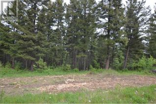 Commercial Land for Sale, 397 Johnson Way, Williams Lake, BC