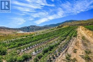 Commercial Farm for Sale, 18255 Hwy 3 Highway, Osoyoos, BC
