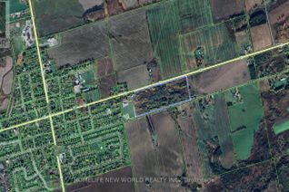 Land for Sale, 4101 Highway 89, Innisfil, ON