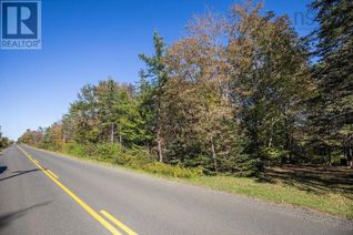 Commercial Land for Sale, Lot Ridge Road, Hillgrove, NS