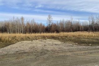 Commercial Land for Sale, Twp 484 Rr 60, Rural Brazeau County, AB