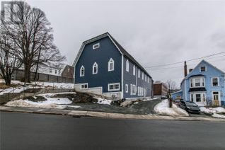 Detached House for Sale, 146 Casey Street, St. John's, NL