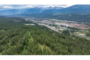 Commercial Land for Sale, Ls-14 Ottoson Road, Golden, BC