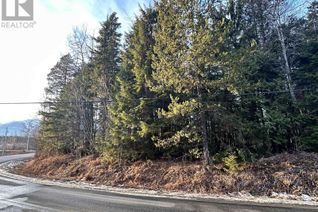 Land for Sale, Lot 1 Old Remo Road, Terrace, BC