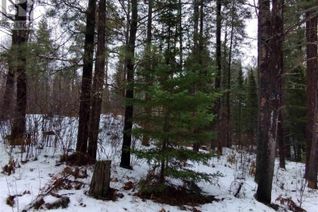 Property for Sale, Part 13 Girl Guide Rd, Cobalt, ON