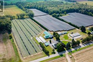 Farm for Sale, 550 Concession 10 Townsend Road, Waterford, ON