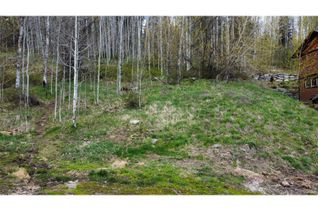 Vacant Residential Land for Sale, 1018 Silvertip Road, Rossland, BC