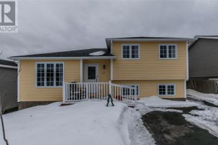 Detached House for Sale, 37 Frobisher Avenue, Mount Pearl, NL