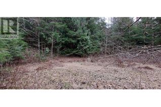 Commercial Land for Sale, Mackenzie Highway, Hagensborg, BC