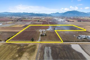 Commercial Farm for Sale, 34659 Townshipline Road, Abbotsford, BC