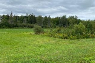 Land for Sale, Lot Ha21-4 945 Route, Haute-Aboujagane, NB